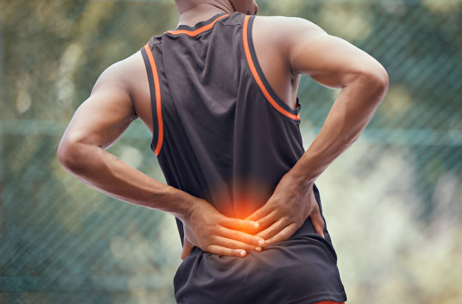 How The Lower Back Muscles Function Affect Your Health
